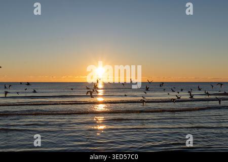Blick in die untergehende Sonne über dem Lake Michigan. Stockfoto