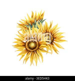 Aquarellfarben Sonnenblumen blühen Blumenarrangements ohne Blätter. Handgemalte gelbe Blumen. Botanische Illustration, floraler Sommer, Herbstkomposition Stockfoto