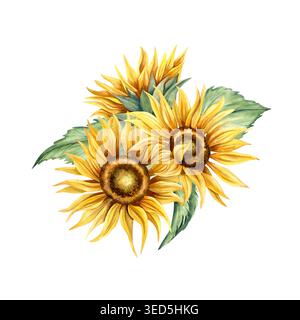 Blumenarrangements mit Sonnenblumen in Wasserfarben. Handgemalte gelbe Blumen, grüne Blätter. Botanische Illustration, florale saisonale Komposition isoliert Stockfoto