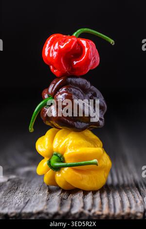 Gestapelte Habanero-Paprika in verschiedenen Farben, einschließlich Schokoladenvariante. Frische Chili-Schoten kreative Balance-Komposition auf Holzoberfläche Stockfoto