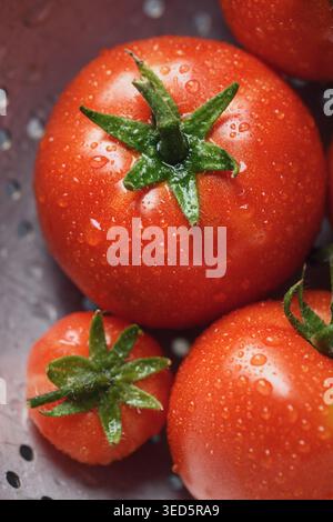Makronaht reifer Tomaten mit Wassertröpfchen. Frisches Bio-Gemüse, natürliche Textur Stockfoto