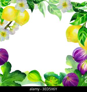 Rahmen mit Zitronen, Blumen, Feigenzweigen und Blättern. Aquarellisolierte handgezeichnete Illustration auf weißem Hintergrund. Stockfoto