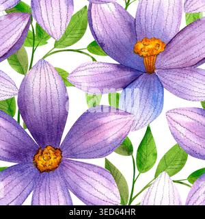 Große violette Krokusblüten mit grünen Blättern, nahtloses Aquarellmuster. Frische blaue Bergblumen, handgezeichnet. Lebendige Anlagen für Verpackungen, COS Stockfoto
