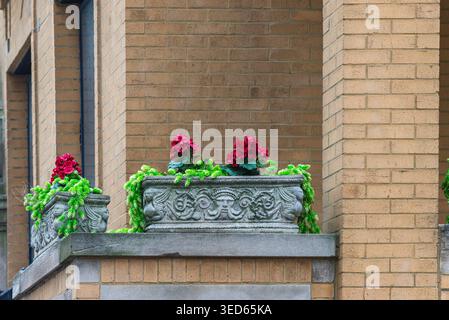 Verzierte Steinpflanzen mit roten Blumen auf Balkon in urbanem Ambiente Stockfoto