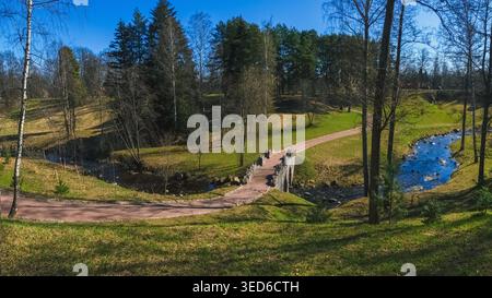 Eine alte malerische Steinbrücke im landschaftlich gestalteten Quellpark von Oranienbaum. Die Steinbrücke verläuft anmutig über einen ruhigen Bach. Birkenbäume stehen hoch und bilden die natürliche Szene. Sonnenlicht taucht den Boden in warmes, goldenes Licht. Gras und Sträucher umgeben die Brücke. Panoramablick Stockfoto