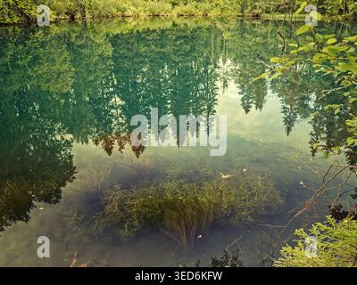 Finnland - 29.08.2020: Kristallklares Wasser eines Waldsees mit Spiegelspiegelung von Bäumen und Unterwasserpflanzen im ländlichen Finnland. Stockfoto