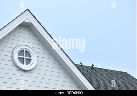 Taube, die an sonnigem Tag auf dem Dach des Hauses steht, mit rundem Glasfenster Stockfoto