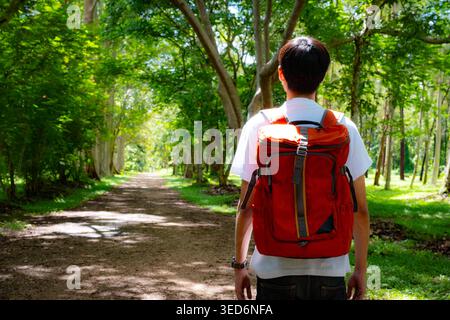 Rückansicht eines jungen männlichen Reisenden mit rotem Rucksack, der auf einem Waldweg steht, bereit für ein Wanderabenteuer und die Erkundung der Natur Stockfoto