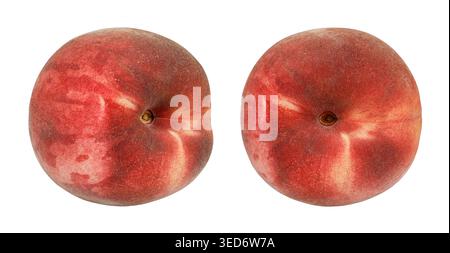 Zwei reife flache Pfirsiche isoliert auf weißem Hintergrund. Auch bekannt als Donut-Pfirsich oder Saturn-Pfirsich. Frische saftige Sommersteinfrucht mit roter und gelber Haut Stockfoto