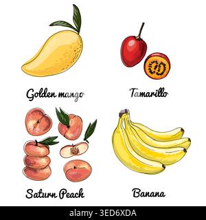 Flacher Pfirsichvektor Lebensmittel Ikonen von Früchten. Farbige Skizze von Lebensmitteln. Saturn-Pfirsich, Bananen, Tamarillo, Gold Stock Vektor