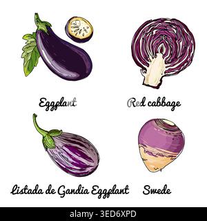 Vektor-Lebensmittel-Symbole von Gemüse. Farbige Skizze von Lebensmitteln. Auberginen, Rotkohl, Listada de gandia Aubergine Stock Vektor