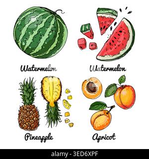 Vektor-Lebensmittel-Symbole von Früchten. Farbige Skizze von Lebensmitteln. Wassermelone, Aprikose, Stock Vektor