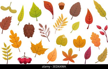 Comic Herbstbaumelemente. Herbst Natur, Blatt, Eichel, Tannenzapfen, ein Haufen roter Beeren. Laub, herabfallende Blätter Eiche, Ahorn, Birke, Sapidvektor Stock Vektor