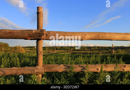Ein verwitterter Holzzaun erstreckt sich über ein pulsierendes grünes Feld, mit einem klaren blauen Himmel und verstreuten Wolken darüber, die eine ruhige ländliche Landschaft schaffen Stockfoto