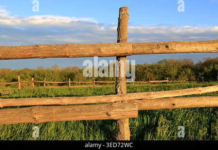 Ein verwitterter Spaltschienenzaun erstreckt sich über eine lebendige grüne Wiese mit Bäumen im Hintergrund und einem sanften blauen Himmel darüber Stockfoto