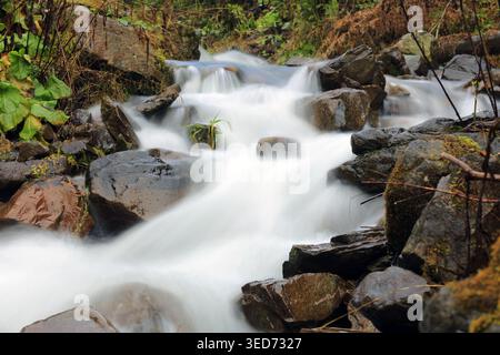Ein ruhiger Gebirgsbach kaskadiert über dunkle, nasse Felsen und erzeugt einen weichen, verschwommenen Bewegungseffekt, der den Fluss des Wassers durch die Natur betont Stockfoto