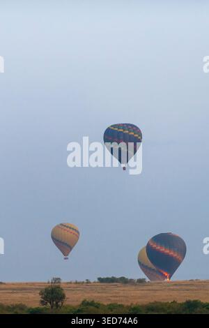 Heißluftballons erheben sich bei Sonnenaufgang über Masai Mara. Stockfoto