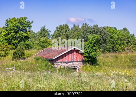 Alte verlassene Scheune auf einer Wiese mit hohem Gras ein sonniger Sommertag Stockfoto