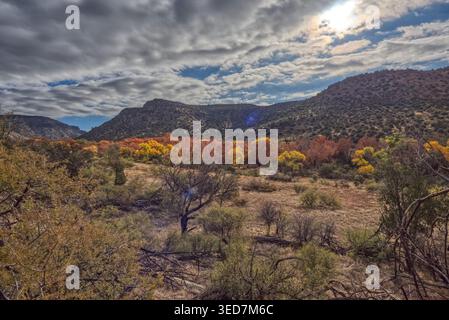 Herbstliche Bäume in einer ländlichen Landschaft, Wet Beaver Creek, Coconino National Forest, Arizona, USA Stockfoto