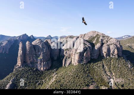 Spanien, Aragon, Aguero, Geier fliegen über los Mallos de Aguero (Luftaufnahme) Stockfoto