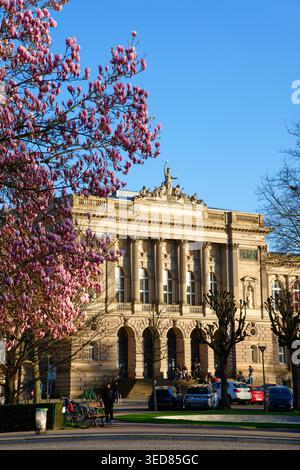 Frankreich, Bas Rhin, Straßburg, Neustadt Stadtteil aus deutscher Zeit, von der UNESCO zum Weltkulturerbe erklärt, Place de l'Universite (Universitätsplatz), Universitätspalast (1884), Magnolie in Blüte Stockfoto