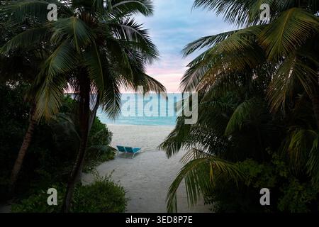 Tropischer Strand mit Palmen bei Sonnenuntergang, türkisfarbenem Meer und weißem Sand mit Liegestühlen, Malediven Stockfoto