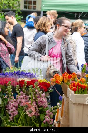 Eimer mit Schnittblumen zum Verkauf auf dem Chiswick Flower Market, der am ersten Sonntag des Monats stattfindet. Stockfoto