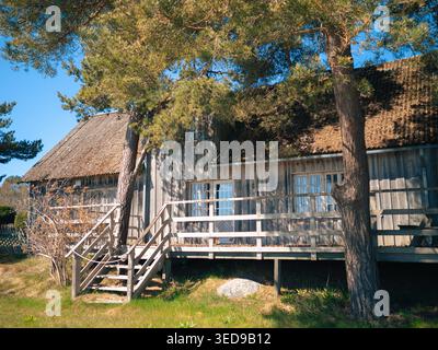 Verwittertes Holzhaus mit Strohdach und Kiefern am Ufer von Lohusalu, Estland, im Frühjahr Stockfoto