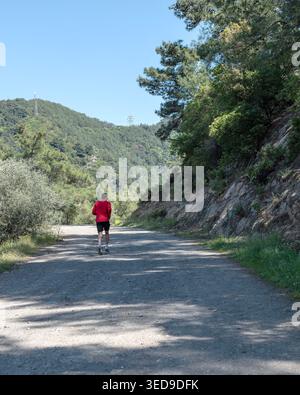 Aktiver Mann in roter Jacke, der auf einem sonnigen Kiesweg durch einen üppigen grünen Wald joggt, repräsentiert einen gesunden Lebensstil und Outdoor-Bewegung. Stockfoto