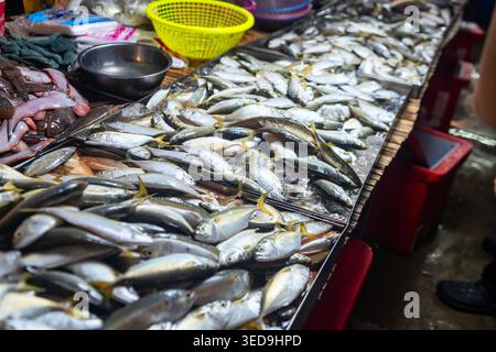 Dieses Bild zeigt einen belebten Marktstand mit einer großen Auswahl an frischem Fisch auf einem langen Tisch, mit Händlern und Ausstellungsgegenständen im Hintergrund Stockfoto