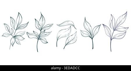 Pfingstrose Blätter Set botanische Sammlung. Laubelemente für Blumendesign, Dekor und Hochzeitskompositionen Stock Vektor