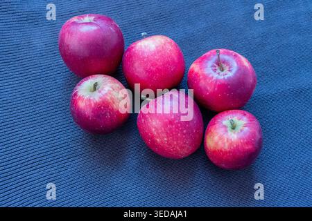 Rote Äpfel auf grauem Hintergrund Stockfoto