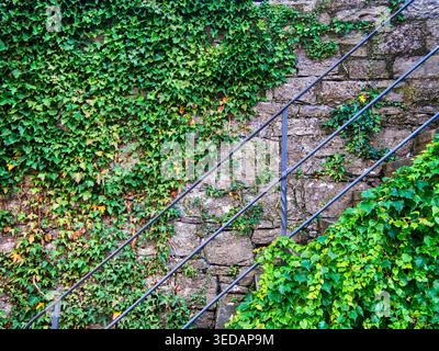 Mauer in Grün, Geländer und Stufen Stein und Metall Stockfoto