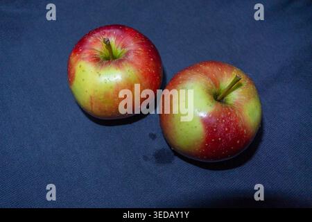 Bunte Äpfel auf grauem Hintergrund Stockfoto