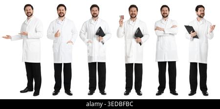 Apotheker auf weißem Hintergrund. Sammlung von Porträts in voller Länge Stockfoto