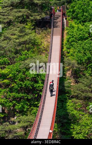Die neue Aufnahme der Hängebrücke ist besonders effektiv, die vertikale Perspektive betont den Aufstieg. Stockfoto