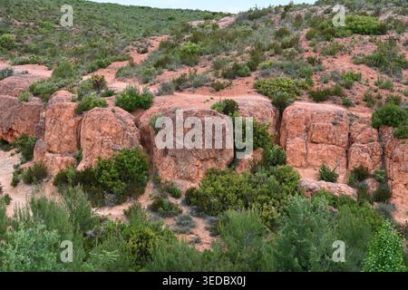 Felsige Landschaft mit Sandstein-, Ocker- und Rottonaufschlüssen oder Formationen im Infernet Valley zwischen Vitrolles und Les Pennes-Miabeau Provence Frankreich Stockfoto