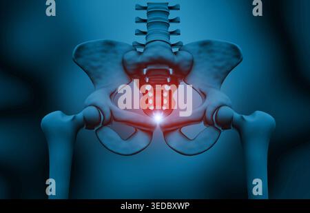 Menschlicher Hüftknochen, Beckenanatomie auf blauem Hintergrund. 3D-Abbildung Stockfoto