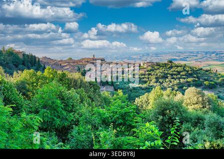Montalcino, Toskana, Italien, Sommerpanorama in grüner Umgebung Stockfoto