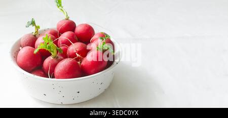 Frischer dunkelrosa Rettich in einer Keramikschale auf hellem Hintergrund. Ernährungskonzept. Horizontale Ausrichtung. Kopierbereich. Horizontale Ausrichtung. Stockfoto