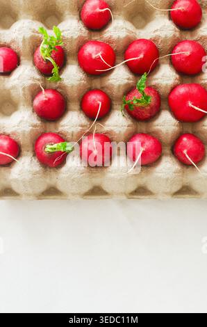 Frischer dunkelrosafarbener Rettich in einer Eierform aus Pappe auf hellem Hintergrund. Stillleben. Frühlingsgemüse-Konzept. Kreatives Lebensmittelfoto. Vertikale Ausrichtung Stockfoto
