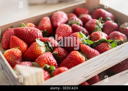 Frische Erdbeeren auf Holzkisten auf Holztisch Stockfoto