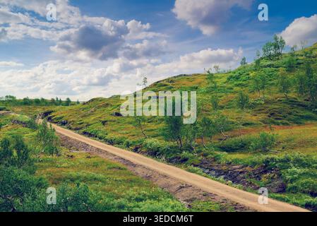 Unbefestigte Straße auf dem Feld. Wunderschöne Natur Norwegens Stockfoto