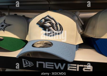 Der NHL Flagship Shop befindet sich in Hudson Yards und bietet Hockeyfans Bekleidung und Merchandise, New York City, USA 2026 Stockfoto
