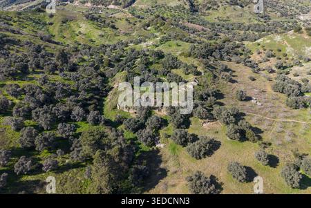 Drohnenansicht der antiken Stadt Mastaura in Aydin, Türkei, gut erhaltenes römisches Amphitheater und die umgebende archäologische Landschaft Stockfoto