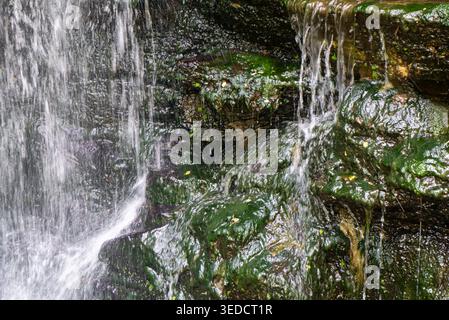 Ein ruhiger Wasserfall fließt über moosbedeckte Felsen und schafft so eine friedliche Naturkulisse. Das kaskadierende Wasser reflektiert das Sonnenlicht und unterstreicht die Schönheit von na Stockfoto