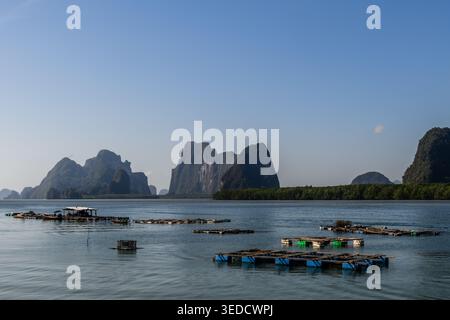 Fischfarmen in der Phang Nga Bay, Thailand, am Ufer von Ko Panyi, auch bekannt als Koh Panyee, ein muslimisches schwimmendes Fischerdorf, das bekannt ist als Bu Stockfoto