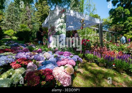Pflanzen- und Blumenmarkt im Königlichen Botanischen Garten von Neapel während der Planta-Veranstaltung. Italien Stockfoto