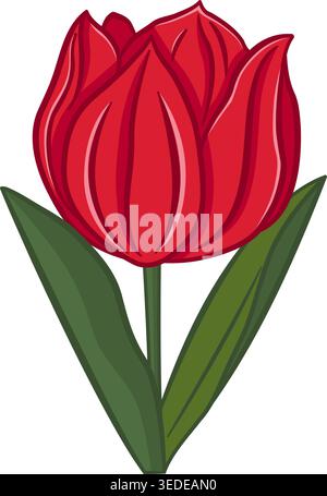 Tulpenblume. Frühlingsblume. Vektorillustration einer blühenden roten Tulpe mit Blättern. Design für Karten, Poster, Textilien und mehr Stock Vektor