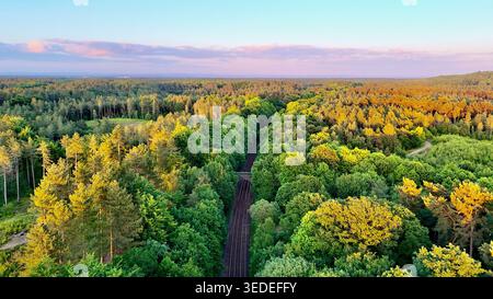 Drohnenansicht der Eisenbahnstrecke durch Delamere Forest, Cheshire Stockfoto